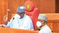 Breaking: Senate adjourns plenary to honour dead lawmaker