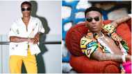 One small boy from Surulere did that: Wizkid brags heavily on stage about success of his single Essence