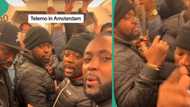 "They look alike": African men turn Amsterdam transport into club as they vibe to Davido's music