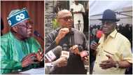 "PDP, APC going to states for tourism", Former SGF speaks on Peter Obi's campaign exploits