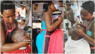 "Please show me direction": Curvy lady rubs man's face inside barbing salon, video causes stir