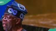 What Tinubu needs to focus on apart from economy, Tope Fasua speaks