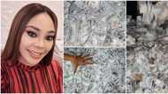 Most sprayed bride: Ehi Ogbebor recounts guests making it rain dollars on her wedding day to ex-husband