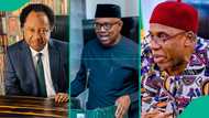 “Peter Saw vision": Shehu Sani reacts as Amaechi rejects results of ADC presidential primaries