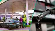 Filling stations increase fuel prices by N55 after Dangote’s decision