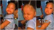 She don wise finish: Reactions as baby girl winks in viral video, makes family members laugh