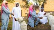 Mixed reactions trail DJ Cuppy as she spends time with her pet lion in Dubai (photos)