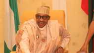 2023: Manya masu son satar dukiyar talakawa ne ba su son a sake samun wani Buharin, Garba Shehu