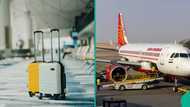 Air India passenger complains of theft on flight after luggage lock was broken and cash stolen
