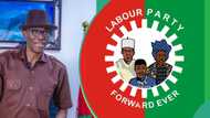 "Personal interest": 6 Labour Party members in Enugu House of Assembly defect to PDP