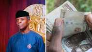 Osinbajo calls for naira exchange rate to be determined by market forces at it is currently "artificially low"