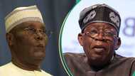 Atiku, ADC blast Tinubu over pardon for convicted drug traffickers: "National disgrace"