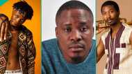 Jaywon, Laycon, Made Kuti, and other singers who are Grammy Recording Academy voting members