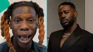 "Na your mate?" Reactions as Seyi Vibez rains insults on Adekunle Gold in unexpected outburst