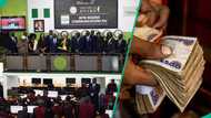 Nigeria stock market rebounds, closes week positive, investors gain N425bn