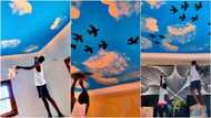 "Your location pls": Artists create heavenly paradise with sky-painted room, flying birds art, fans go crazy