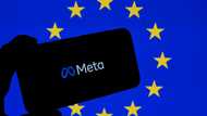 Meta defends ads model in 550-mn-euro data protection trial