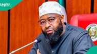 Is Borgu LGA bigger than South East region as Governor Bago claimed? Here are the facts