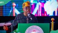 BREAKING: Tinubu makes 3 top appointments, full list emerges