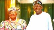 Okonjo Iweala speaks on ‘statement of threats’ after visit to President Tinubu, reveals truth