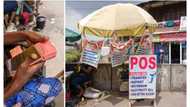 Top 10 PoS service companies in Nigeria and step-by-step guide to setting up agency banking