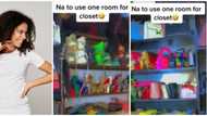 "Just become bag and shoe vendor": Lady's huge collection of fashion items sparks reactions