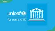 Full meaning of UNESCO and UNICEF: Exactly how do they differ?