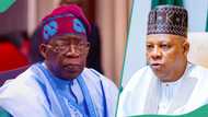 Hardship: Shettima insists no going back on Tinubu’s reforms, “We feel the pain of the poor”