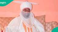 "Ka yafewa maƙiya," Matasan Arewa sun aike da saƙo ga Sarki Aminu Ado Bayero