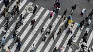 Most Asian markets rise on US rate hopes, Tokyo hits record