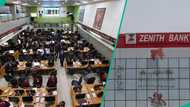 Zenith Bank Plc shares listed as top pick ahead of GTCO and ACCESSCORP