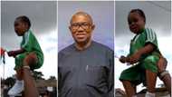 2023 presidency: Toddler who partook in Obidients' rally gets appointment from Peter Obi