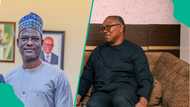 Federal government’s tax reforms: Peter Obi flags issues in fresh statement