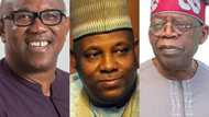 Igbo youths drop bombshell, declare support for Tinubu/Shettima over Peter Obi
