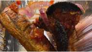 Nigerian man shares the roasted plantain he got after placing order online , stirs massive reactions