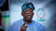 2023: Tinubu Ya Gana Da Malaman Addini Na Arewa Maso Gabas, Ya Sha Alwashin Kamanta Adalci Da Gaskiya