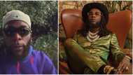 Burna Boy reacts to Tinubu’s plans to invade Niger with Nigerian military: "Fuel never day una won go war"