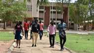 Fed Poly Bauchi sacks two lecturers for alleged female harassment, dismisses 30 students over forgery