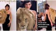 Kylie Jenner rocks lion head dress as she attends fashion show, Nigerians react: "The real isiagu"