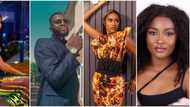 Rocking the celeb life: Photos and videos show what evicted BBNaija Level Up housemates have been up to