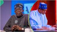 Full List: Tinubu, Buhari cabinet members meet in Abuja, details emerge