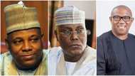 2023: It’s all over for Atiku, Obi as Shettima makes new presidential election prediction