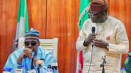 Insecurity: Some terrorists operating as bandits, kidnappers - Fayemi claims