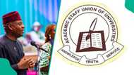FG makes major demand as ASUU begins warning strike