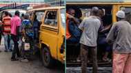 "Crazy things happen in Lagos": Bus passenger takes over steering as driver and conductor fight