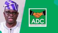 Just In: "How ADC will end," Fayose releases fresh prediction ahead of 2027