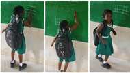 "She made it simple": Smart girl solves mathematics problem in a sweet way, Her video goes viral