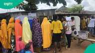 Breaking: NNPP defeats APC in keenly contested Kano by-election