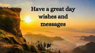 50+ have a great day wishes and messages to send to your loved ones