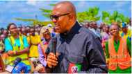 Surprise as Peter Obi excludes IPOB from Nigerian terrorist groups, lists Boko Haram, ISWAP